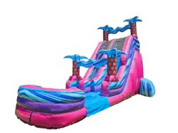 Pink palm single lane side view removebg preview 1753650135 18ft Electra single lane